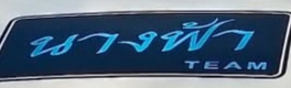 นางฟ้าทีม